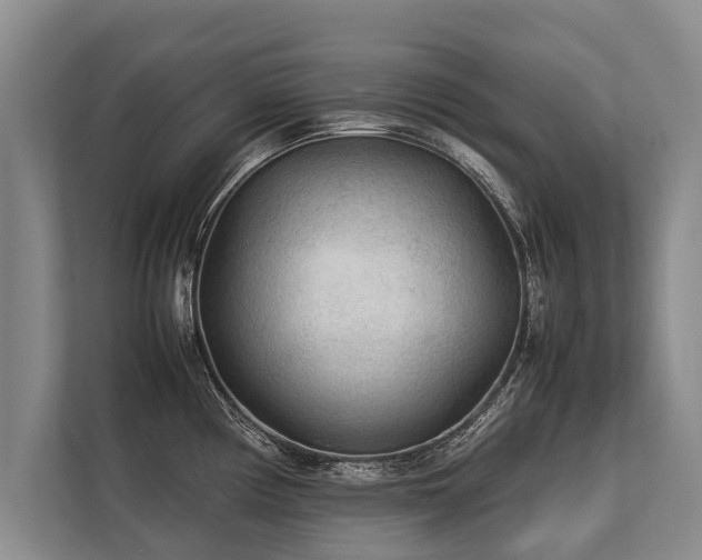 X0000113641194200909181450