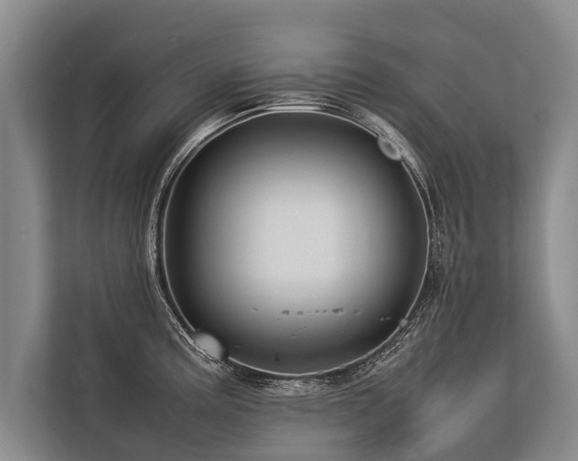 X0000113641195200909181450