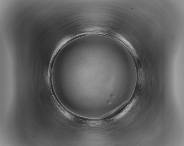 X0000113641196200909181450