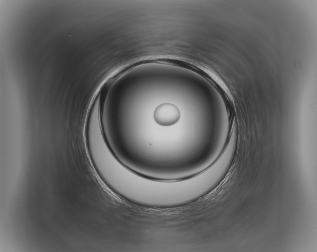 X0000113641197200909181450