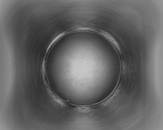 X0000113641198200909181450