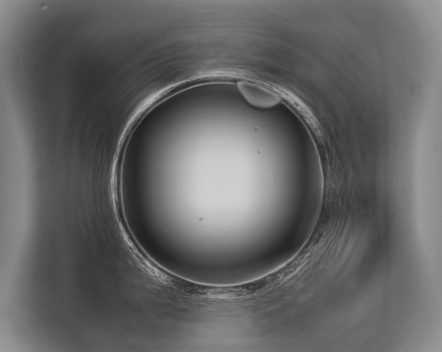 X0000113641199200909181450