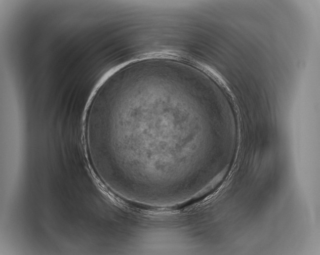 X0000113641200200909181450