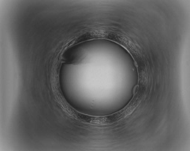 X0000113641201200909181450