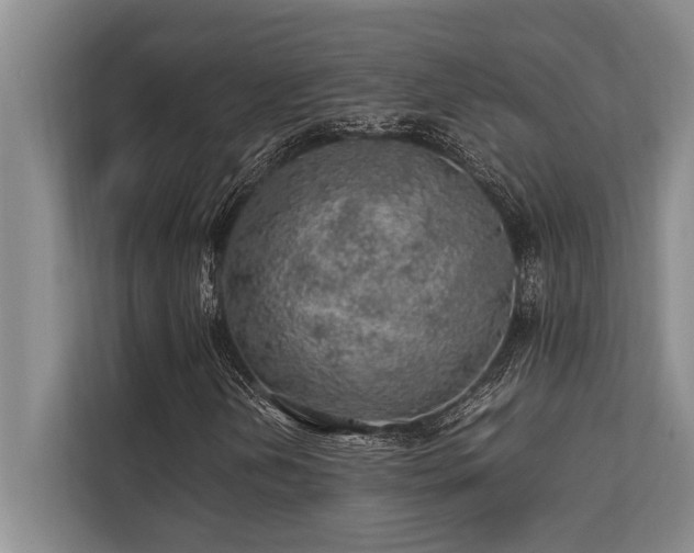 X0000113641202200909181450