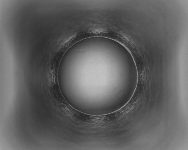 X0000113641205200909181450