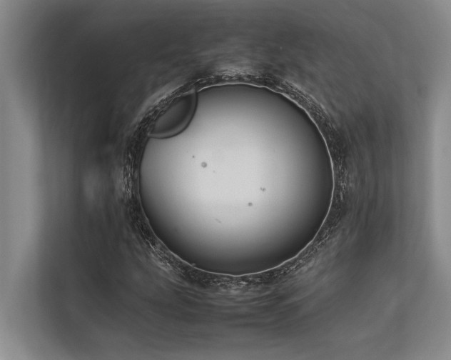 X0000113641207200909181450