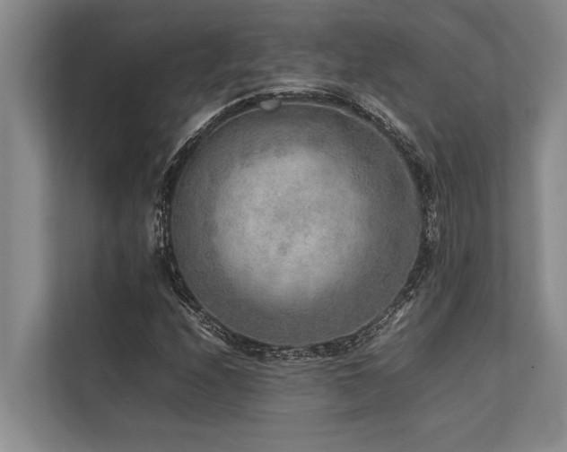 X0000113641208200909181450