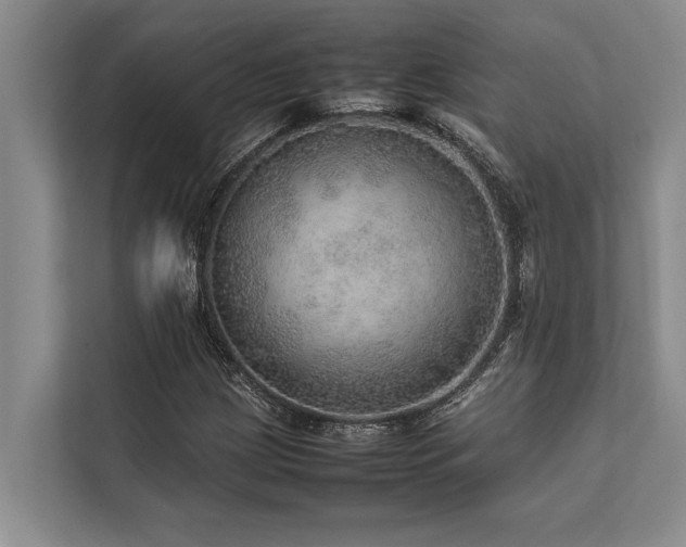 X0000113641209200909181450