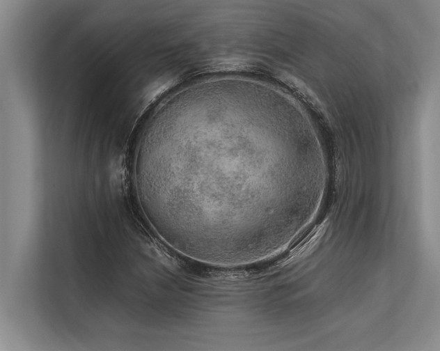 X0000113641210200909181450