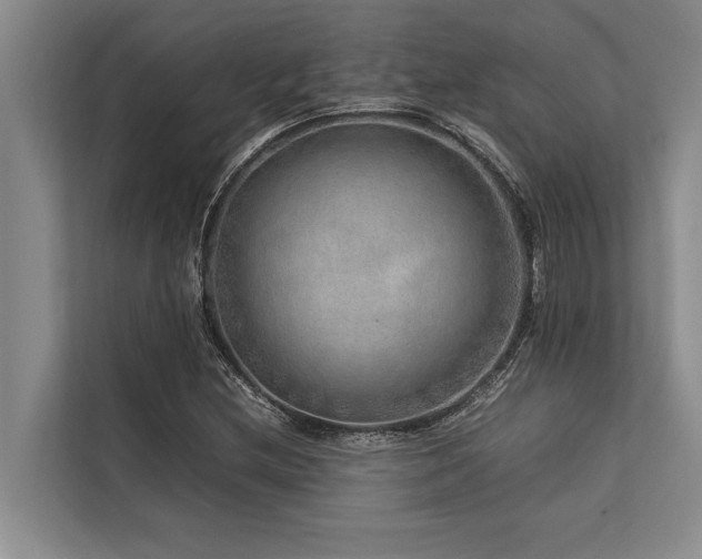 X0000113641212200909181450