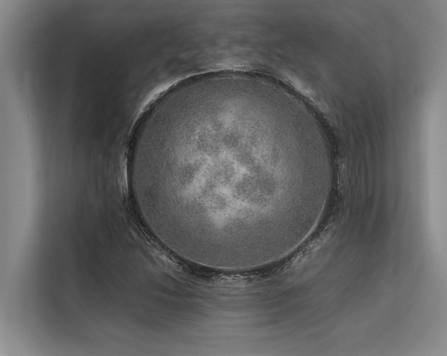 X0000113641214200909181450