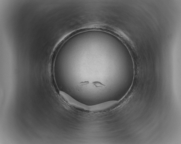 X0000113641216200909181450