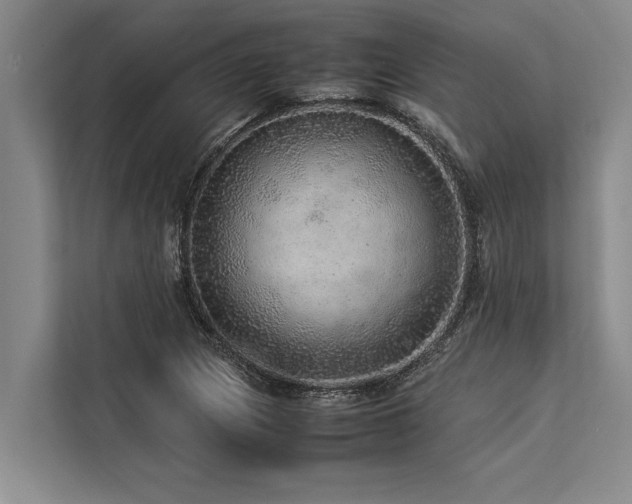 X0000113641217200909181450