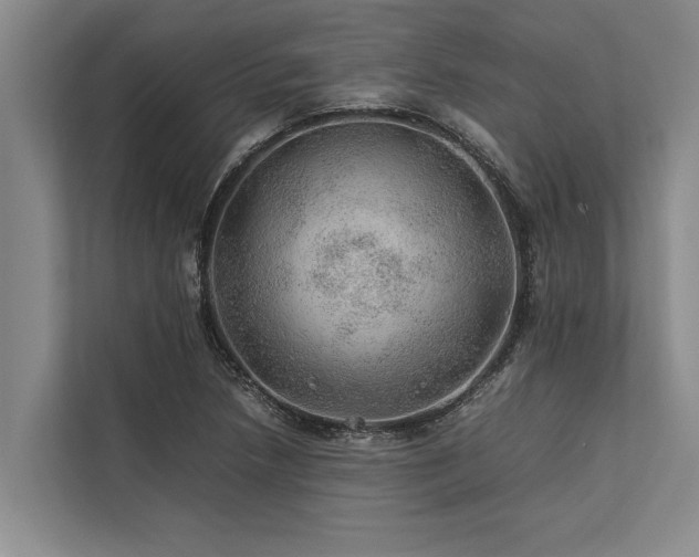 X0000113641218200909181450