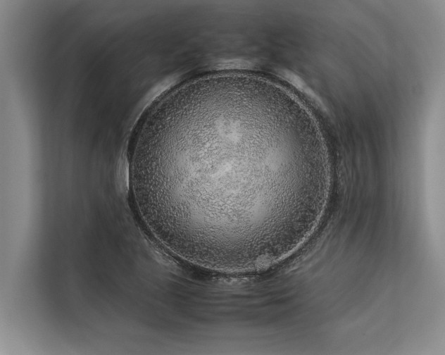 X0000113641221200909181450