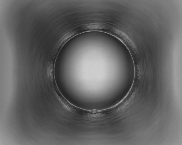 X0000113641225200909181450