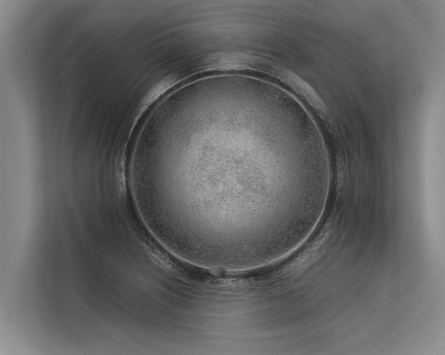 X0000113641226200909181450