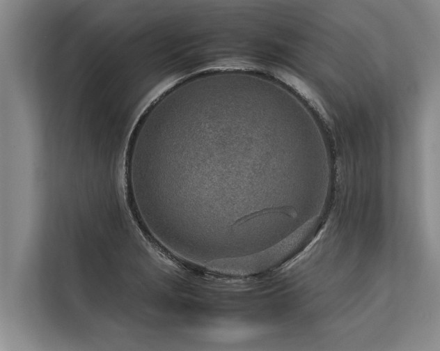 X0000113641229200909181450