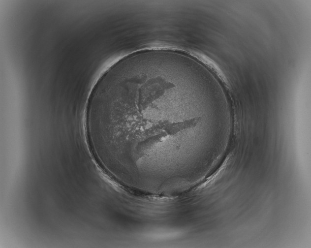 X0000113641231200909181450