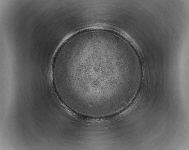 X0000113641232200909181450