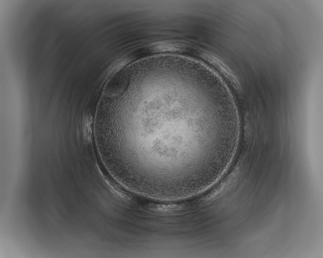 X0000113641233200909181450