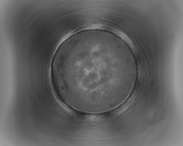 X0000113641234200909181450