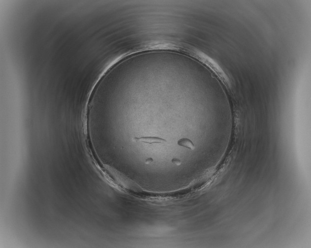 X0000113641236200909181450