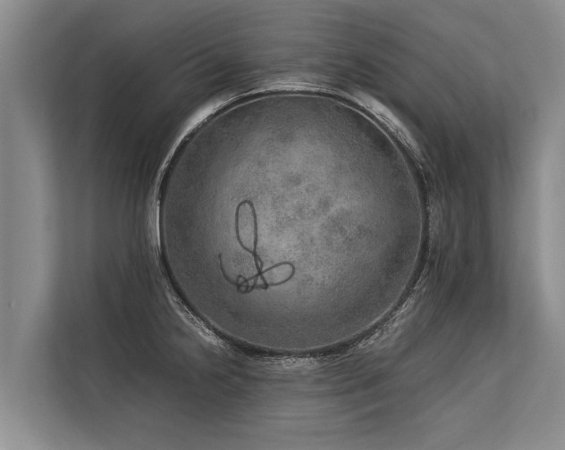 X0000113641238200909181450