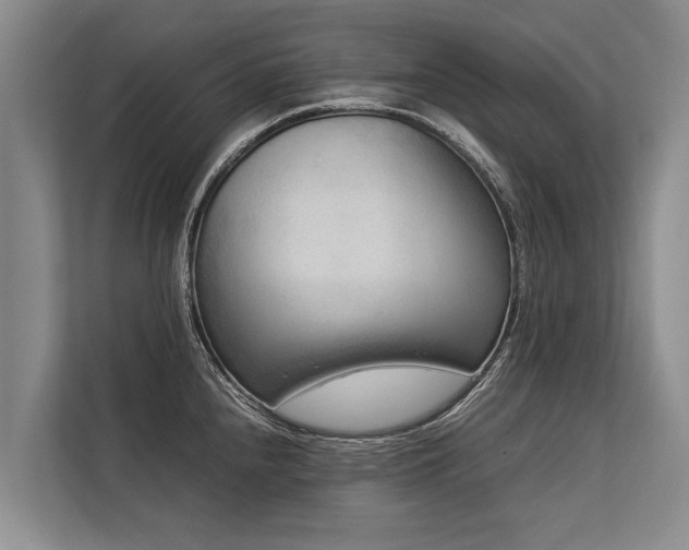 X0000113641240200909181450