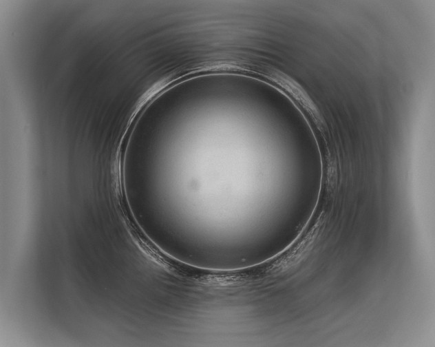 X0000113641242200909181450