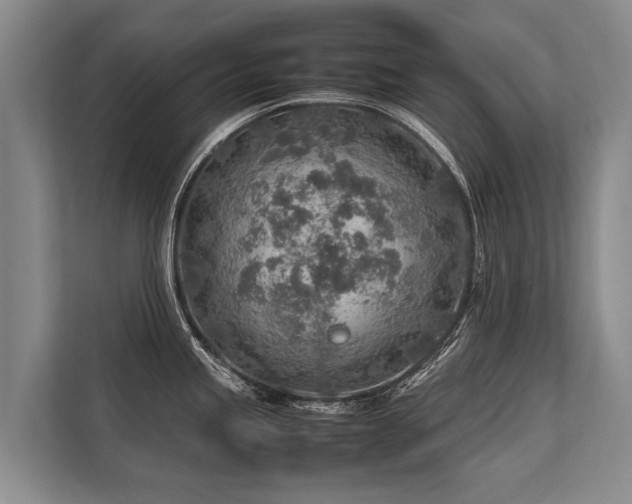 X0000113641245200909181450