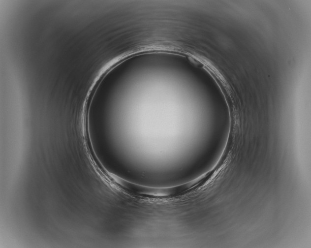 X0000113641246200909181450