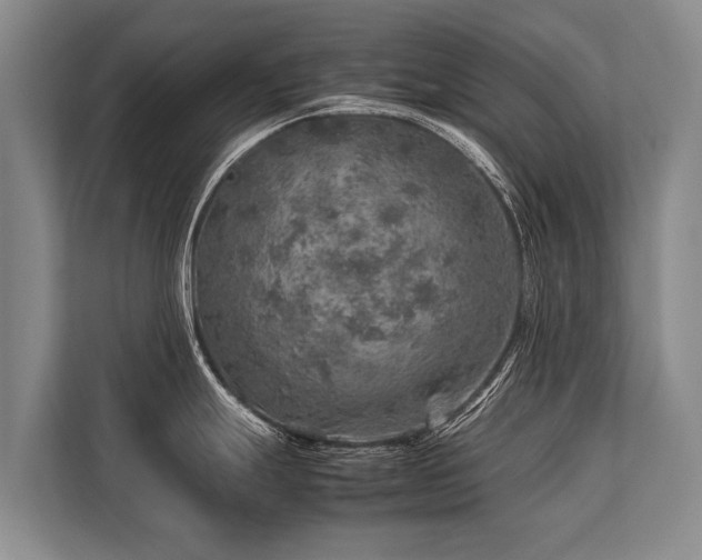 X0000113641247200909181450