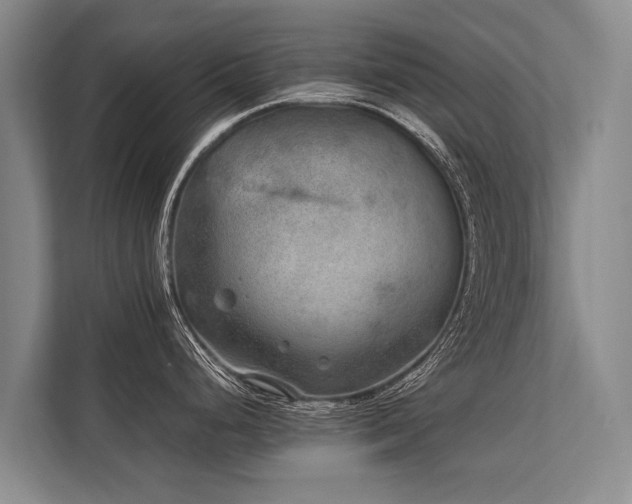 X0000113641248200909181450