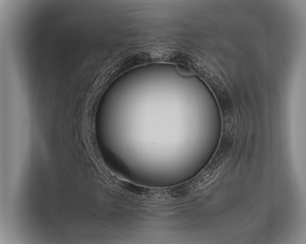 X0000113641249200909181450