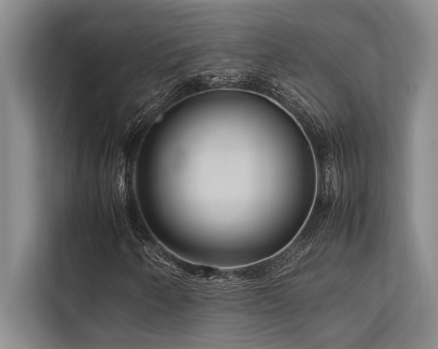 X0000113641250200909181450