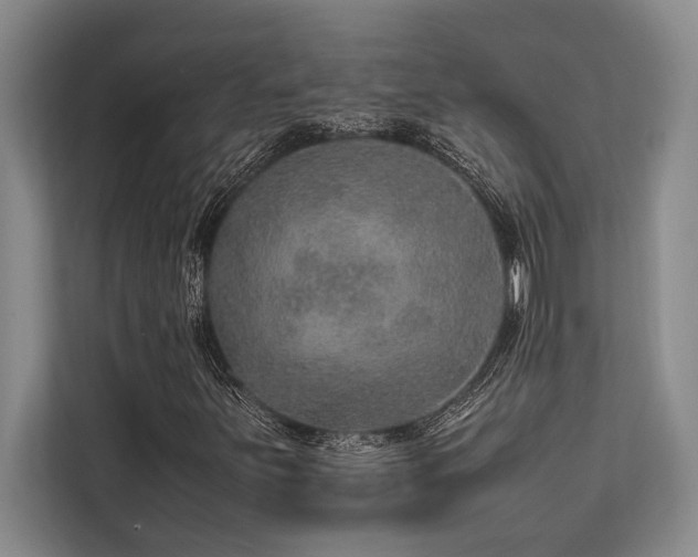 X0000113641251200909181449