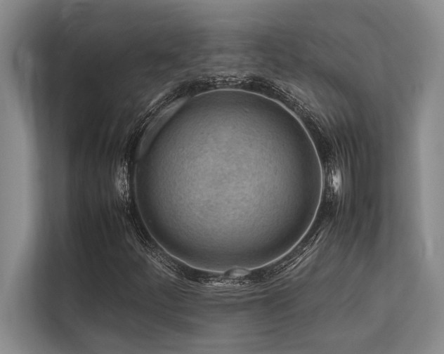 X0000113641252200909181449