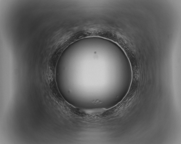 X0000113641253200909181449