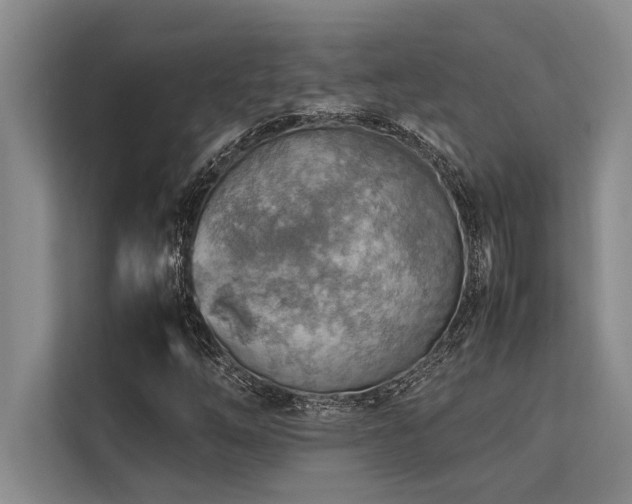 X0000113641254200909181449