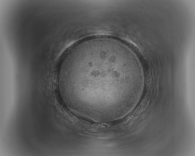 X0000113641255200909181449