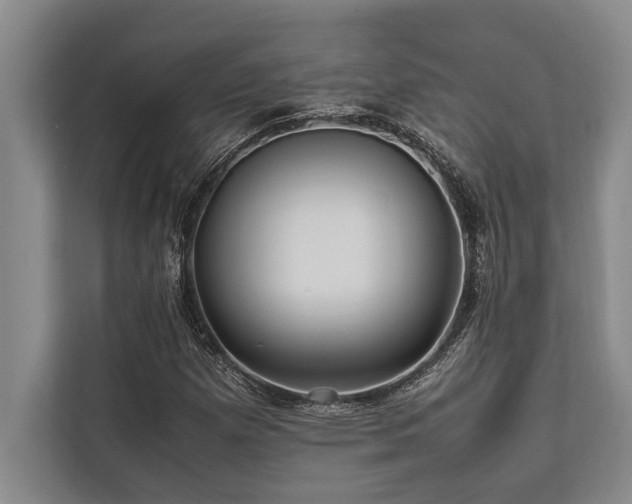 X0000113641257200909181449