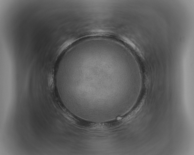 X0000113641259200909181449