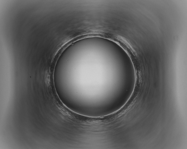 X0000113641260200909181449