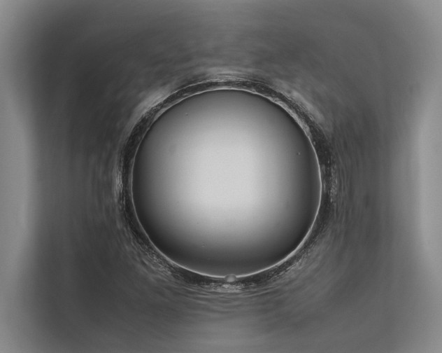 X0000113641261200909181449