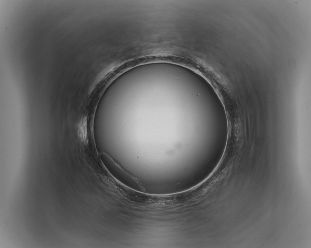 X0000113641262200909181449