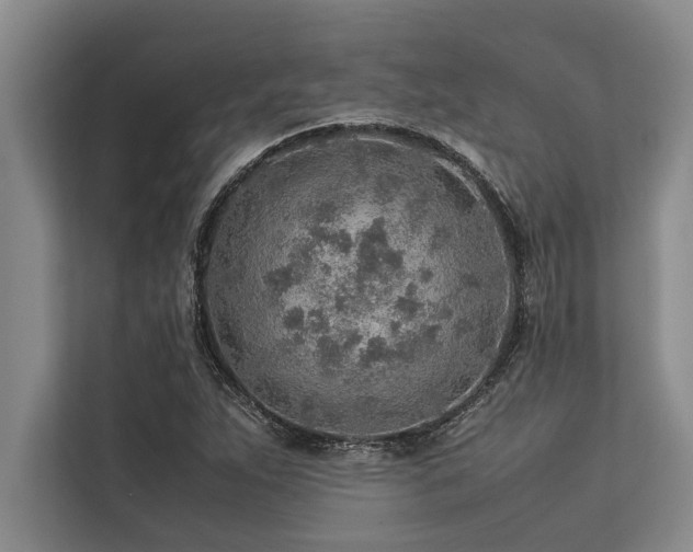 X0000113641263200909181449