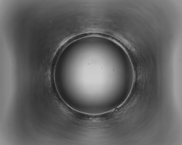 X0000113641264200909181449