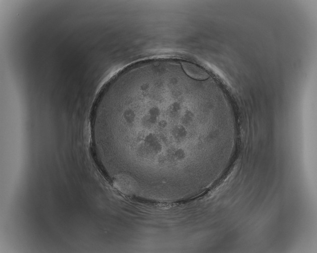 X0000113641267200909181449